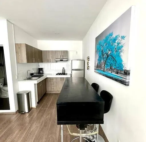 Departamento Iluminado En Condesa Apartamento
